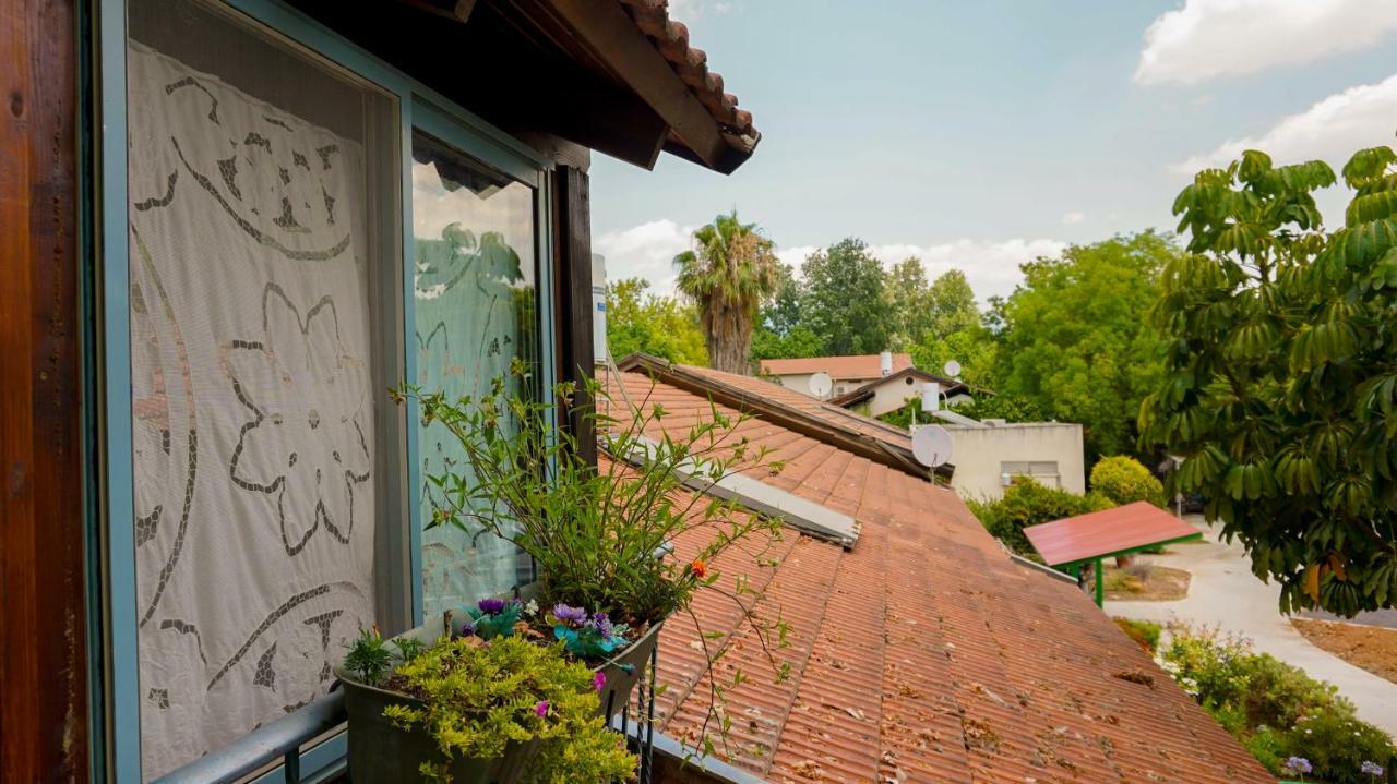 Brush And Wind Villa Hagoshrim Exterior photo