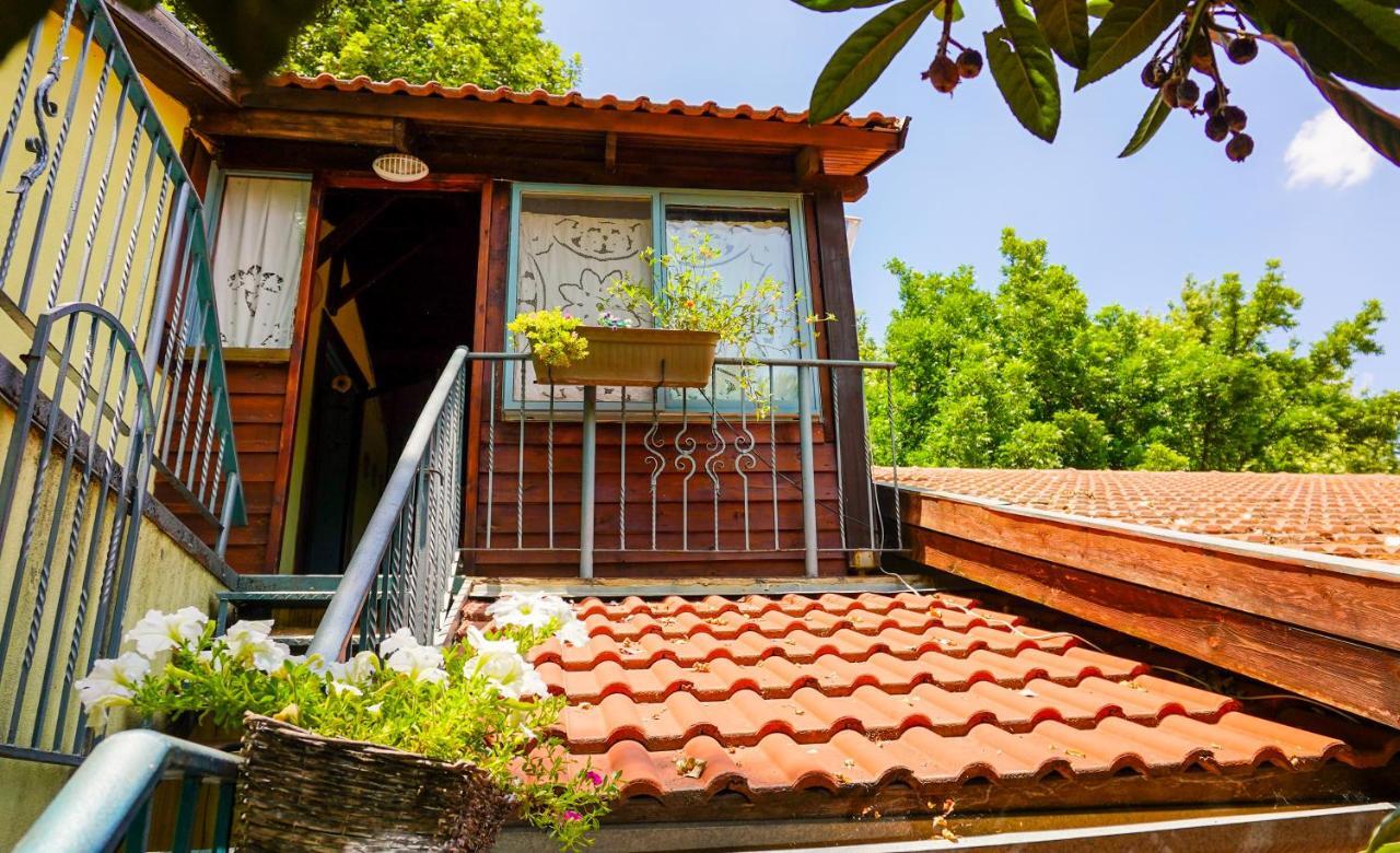 Brush And Wind Villa Hagoshrim Exterior photo